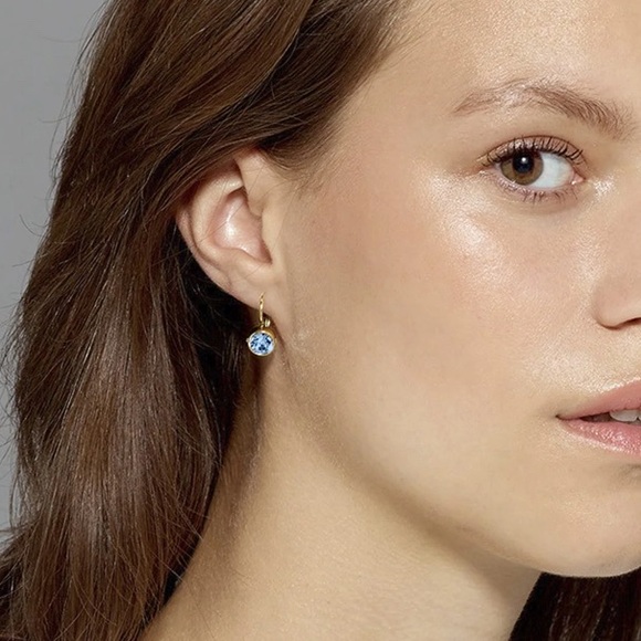 Aquamarine And Clear Crystal Hook Gold Earrings - Picture 6 of 6